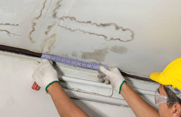 Reliable Basement Flood Cleanup contractor in The Colony, TX by Aqua Guard Water Damage